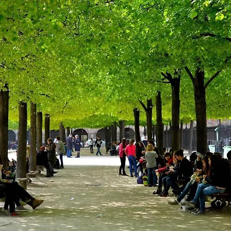Appartamento Historic Steps From Notre Dame And Louvre - Limited Offer *